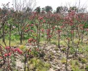 浦東新今天天氣