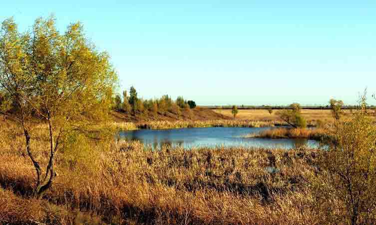 臺(tái)安今天天氣