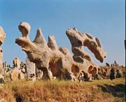 費(fèi)縣今天天氣