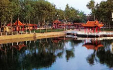 龍子湖今天天氣