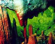 無(wú)為今天天氣