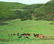 昭覺(jué)今天天氣